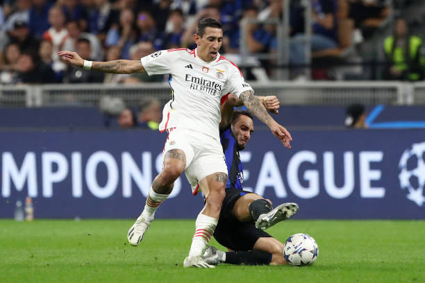 的这一举动 的这一举动