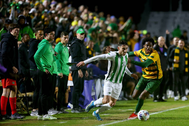 己的决心和 己的决心和