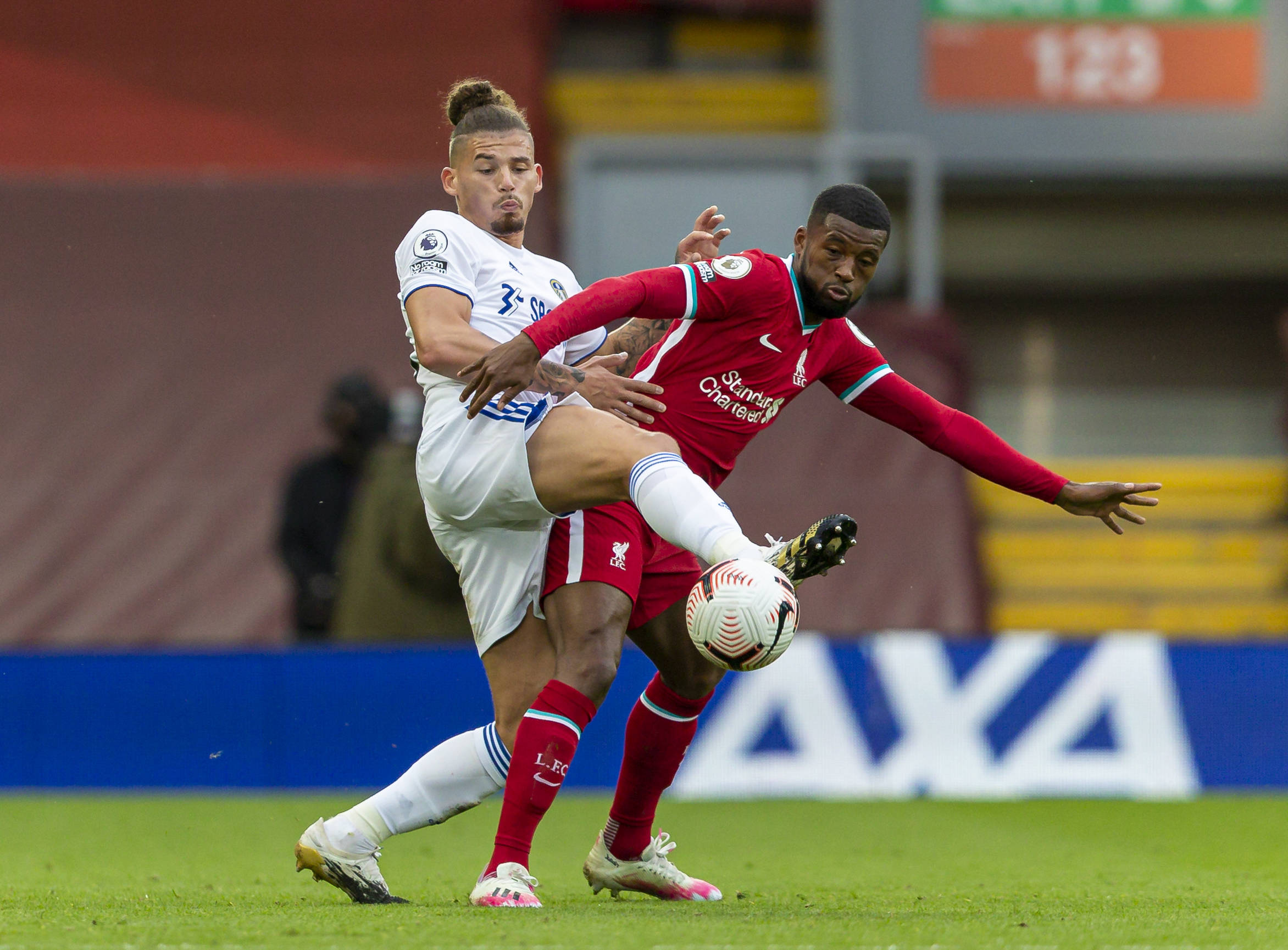 贝尔团队的 贝尔团队的