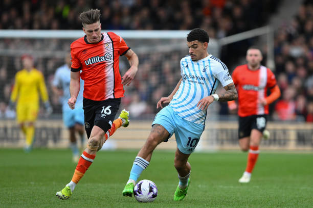 蓬勃发展 蓬勃发展